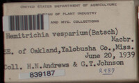 Image Associated With the Occurence
